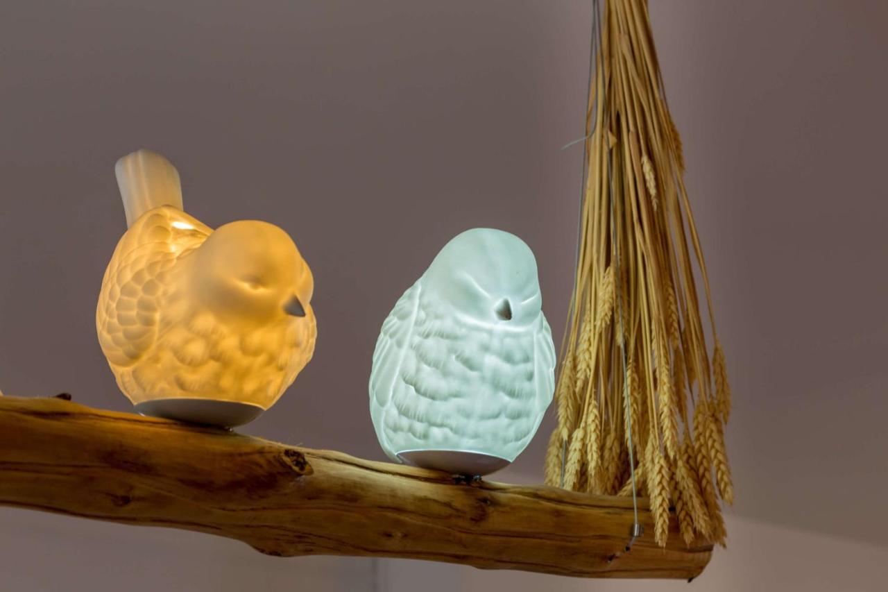 L'Oiseau Blanc ~ Centre Ville ~ Arrivee Autonome 布鲁瓦 外观 照片